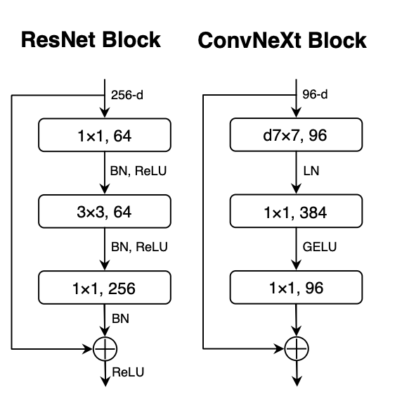 resnet vs convnext architecture